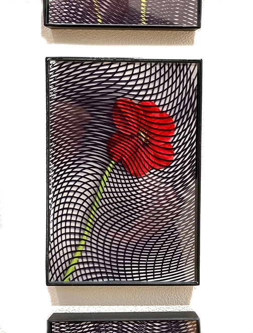 red flower and black and white checked overlap