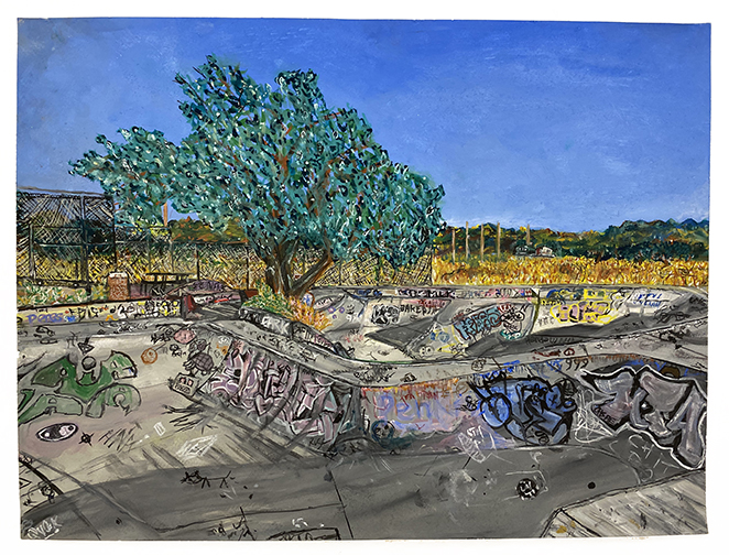 landscape with empty swimming pool and trees and graffiti