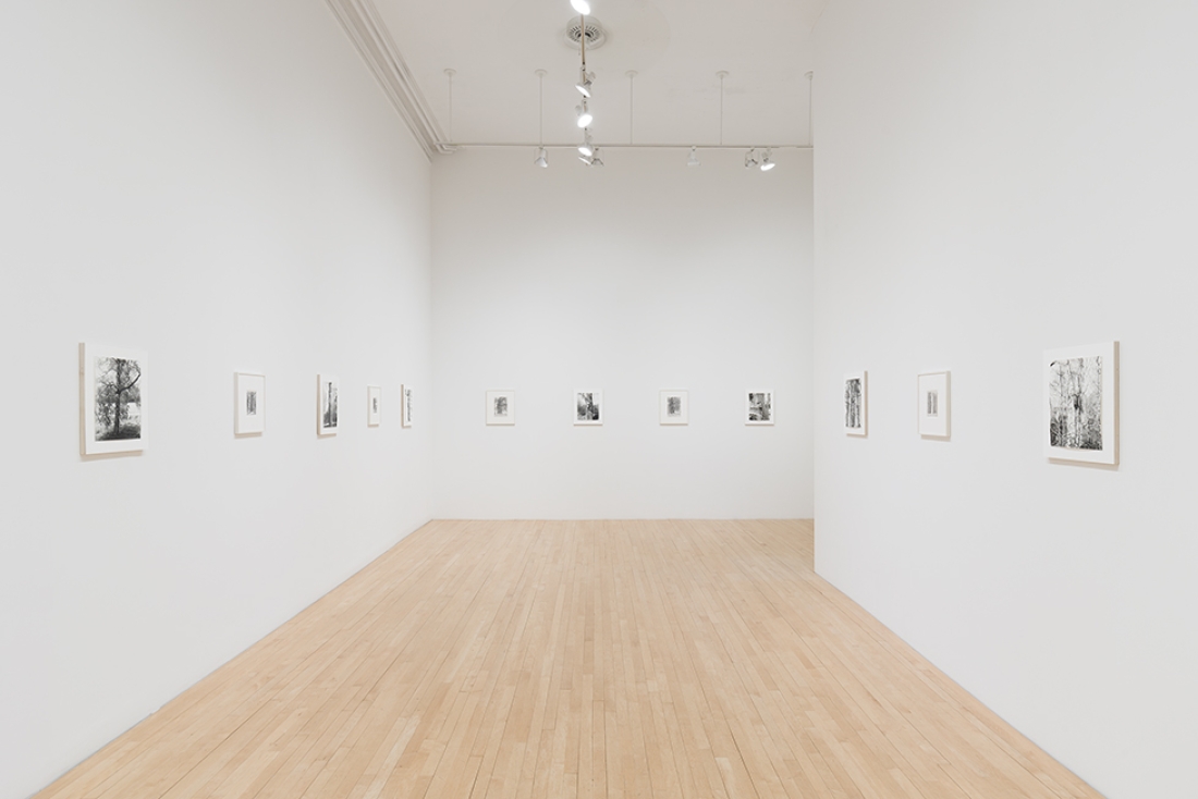 small black and white pictures hanging in art gallery