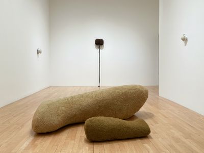 art gallery installation with large teddy bear legs on floor