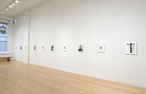 image of art gallery with black and white pictures