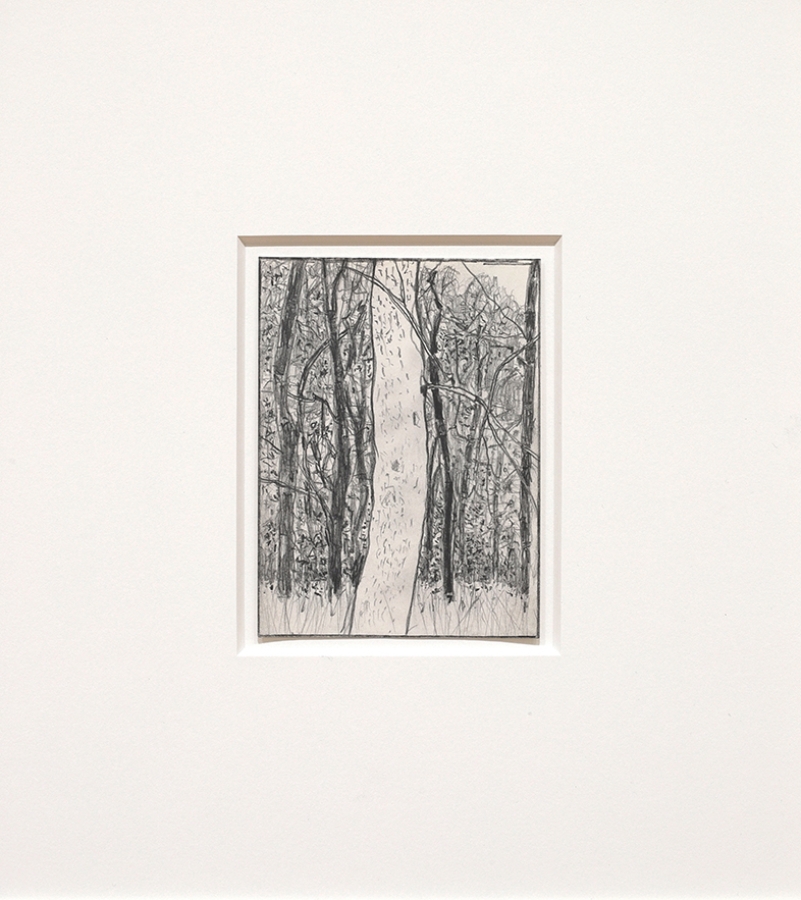 small pencil drawings of trees