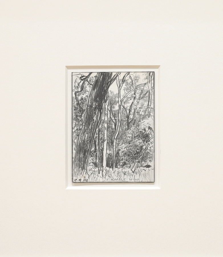 small pencil drawings of trees