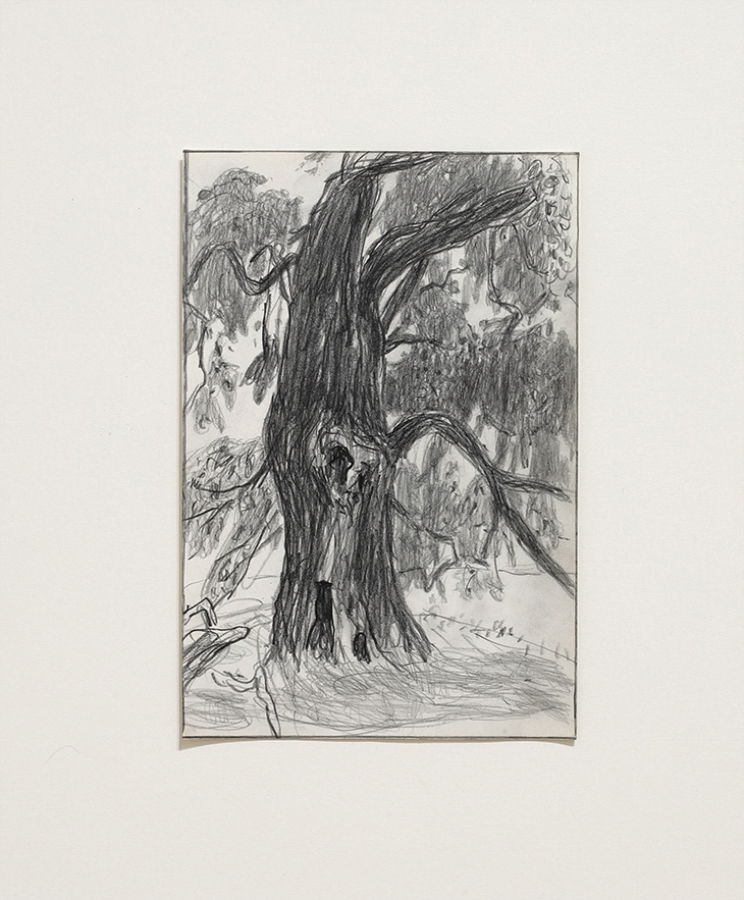 small pencil drawings of trees