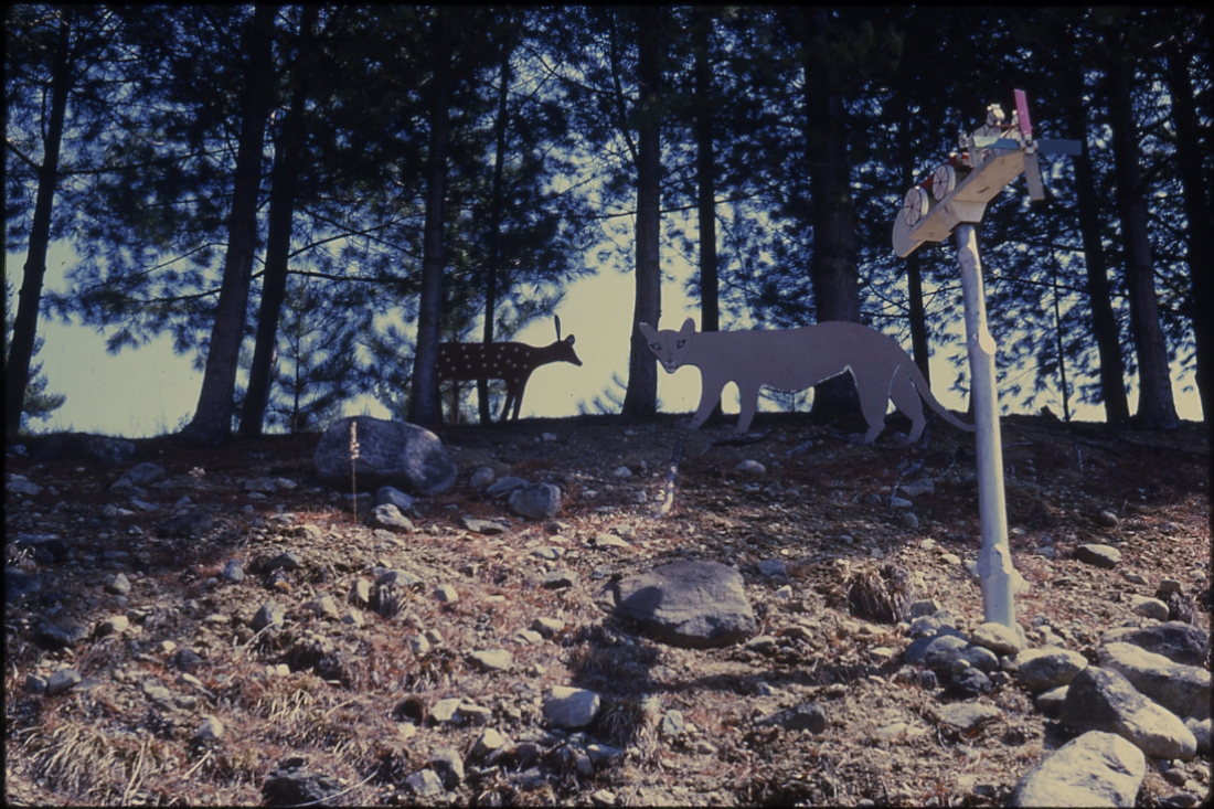 Swinyers animal sculptures on display in his yard