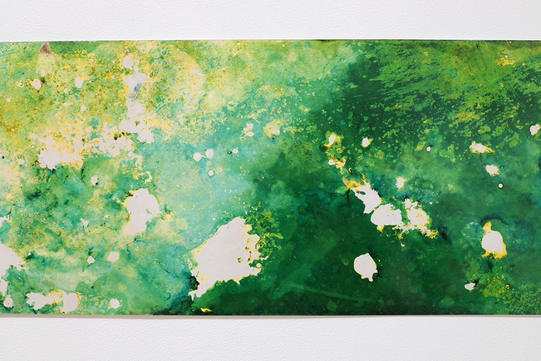 detail of abstract green photo