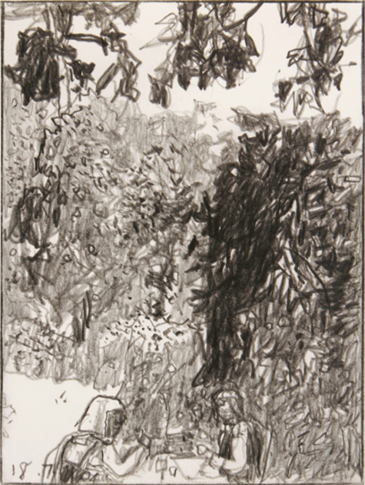 graphite drawing of landscape