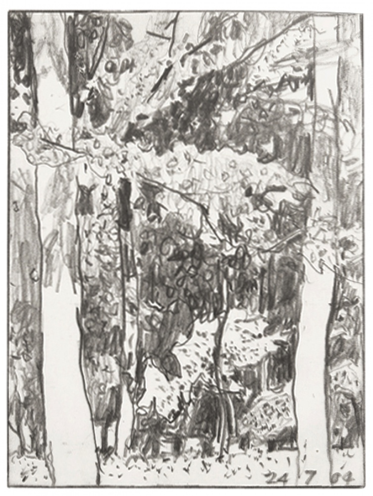 graphite drawing of trees