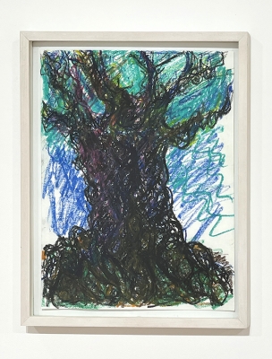 color drawing of large tree with blue background