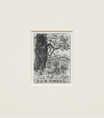 small pencil drawings of trees