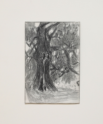 small pencil drawings of trees
