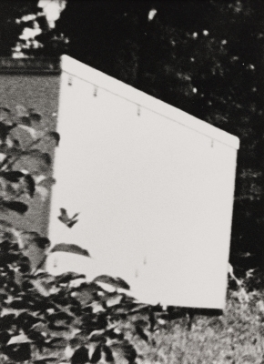 David Schoerner black and white photograph