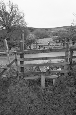 Sam Contis black and white photograph of fence landscape