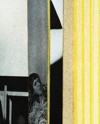Erica Baum photograph of abstract colors and appropriated photograph of Sonny