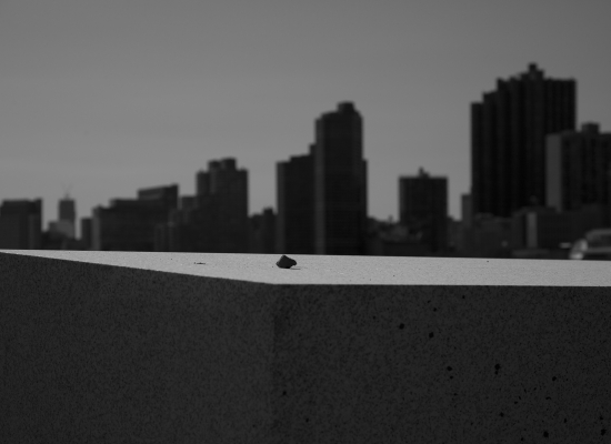 Barney Kulok black and white photograph of pebble on a slab of stone with skyline out of focus in the background 