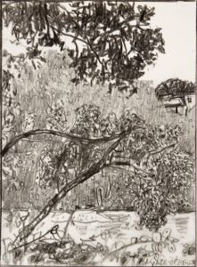 graphite drawing of landscape