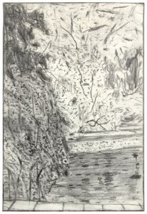 graphite drawing of garden