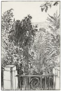 graphite drawing of garden with railing