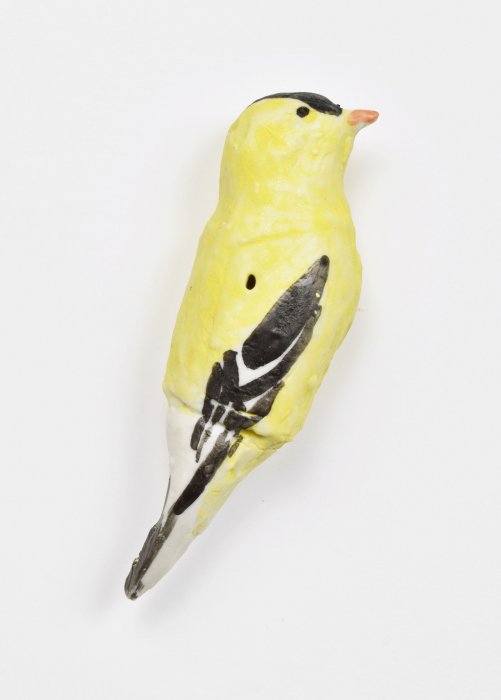 yellow and black bird